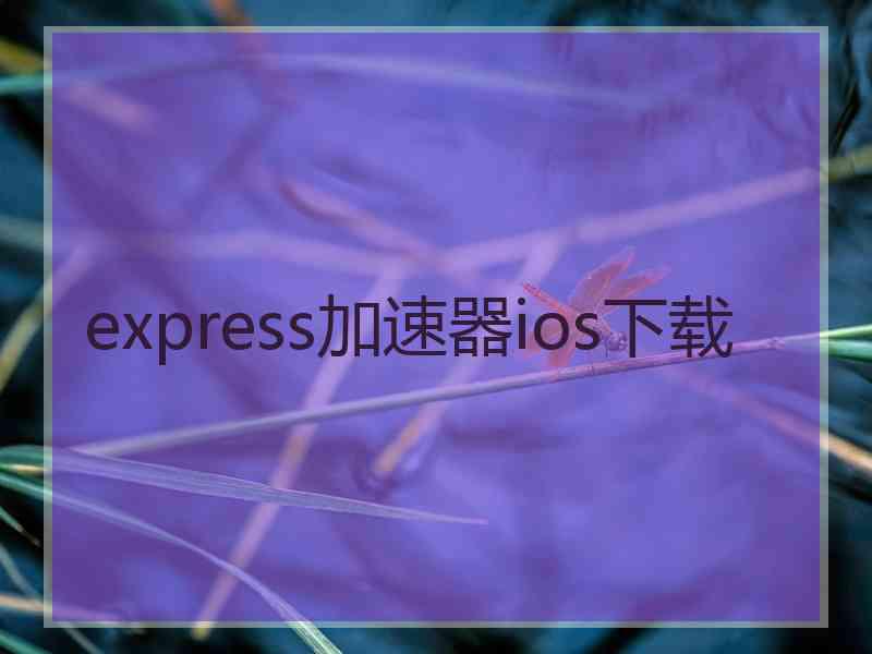 express加速器ios下载
